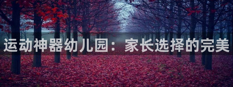 哈哈体育网址集团官网:运动神器幼儿园:家长选择的完美