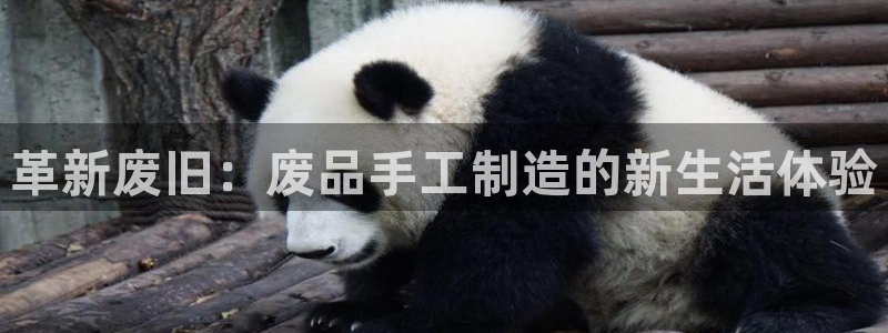 海南哈哈体育发展怎么样:革新废旧:废品手工制造的新生活体验